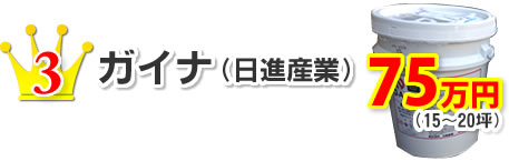 3.ガイナ